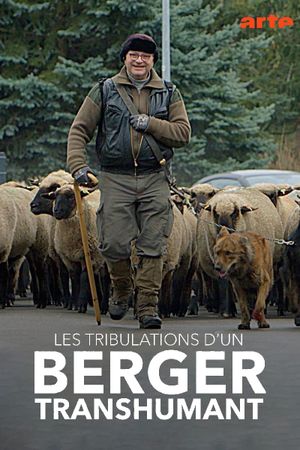 Les tribulations d'un berger transhumant's poster