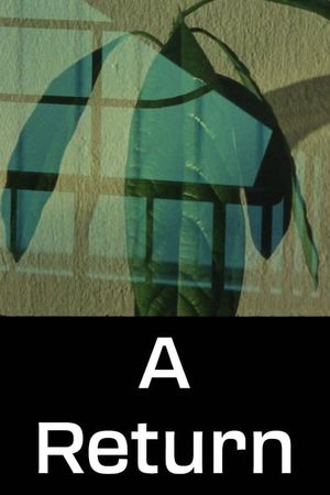 A Return's poster
