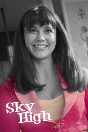 Sky High's poster