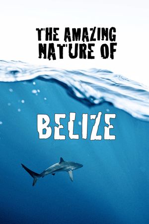The Amazing Nature of Belize's poster