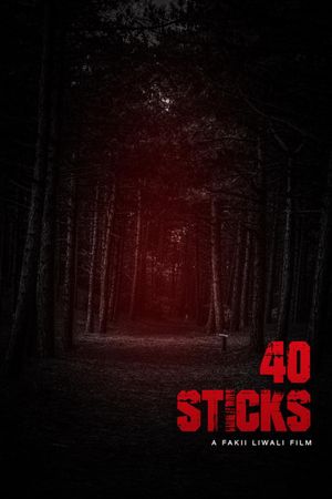 40 Sticks's poster
