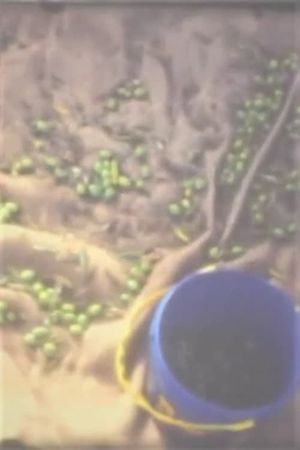 Out of Place's poster