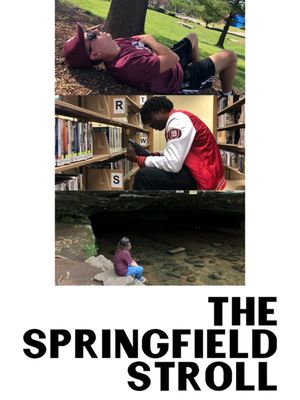 The Springfield Stroll's poster