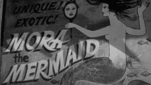 Night Tide's poster