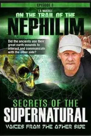 On the Trail of the Nephilim: Episode 3 - Secrets of the Supernatural's poster