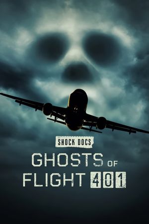 Ghosts of Flight 401's poster image