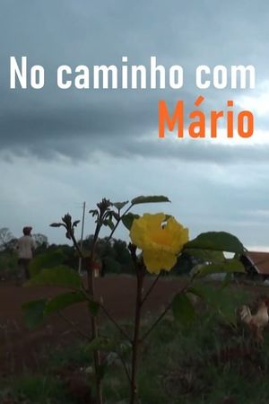 No Caminho com Mário's poster