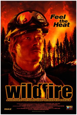 Wildfire: Feel the Heat's poster
