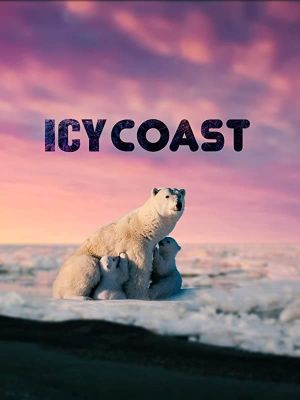 Icy Coasts's poster