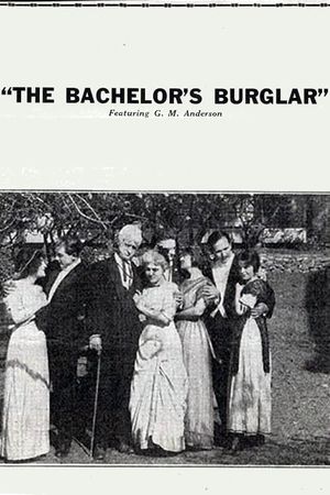 The Bachelor's Burglar's poster