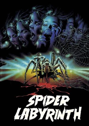 The Spider Labyrinth's poster