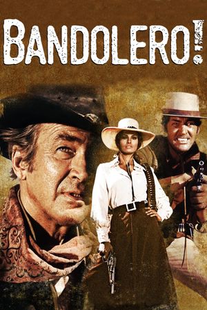 Bandolero!'s poster