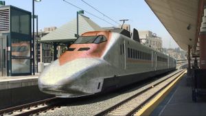 Bullet Train Down's poster