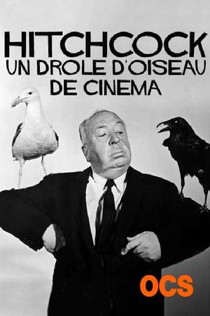 Hitchcock, un drôle d'oiseau de cinéma's poster