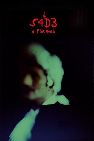 S4D3's poster