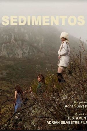 Sediments's poster