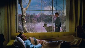All That Heaven Allows's poster