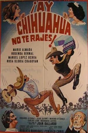 Ay Chihuahua no te rajes!'s poster