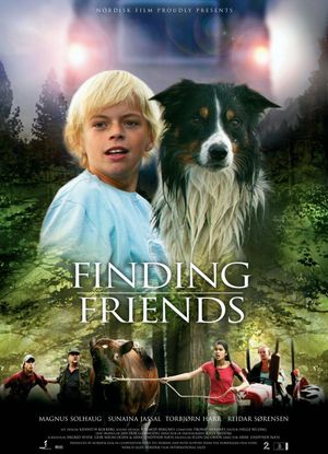Finding Friends's poster image