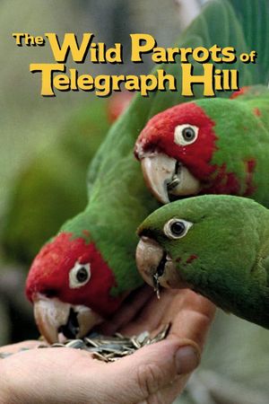 The Wild Parrots of Telegraph Hill's poster