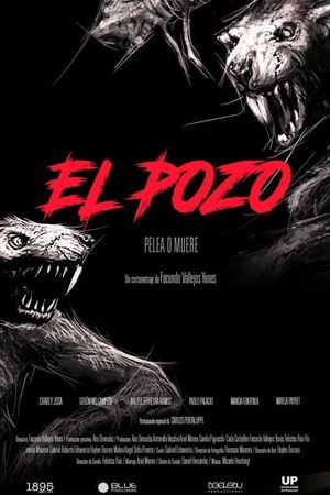 El Pozo's poster