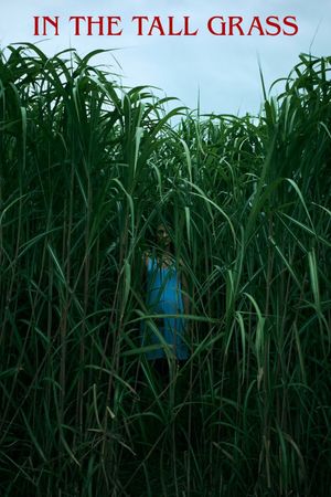 In the Tall Grass's poster