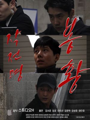 Operation Name Phoenix's poster