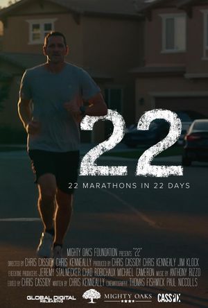22's poster