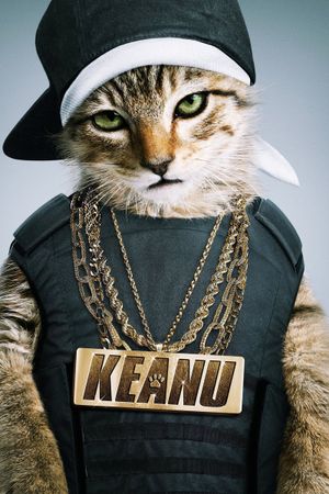 Keanu's poster