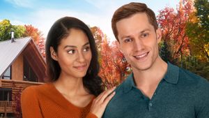 Love at Look Lodge's poster