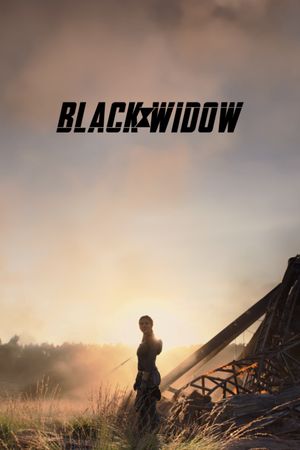 Black Widow's poster