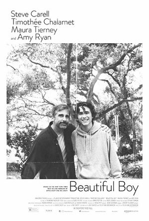 Beautiful Boy's poster