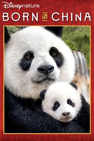 Born in China's poster