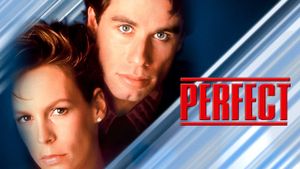 Perfect's poster