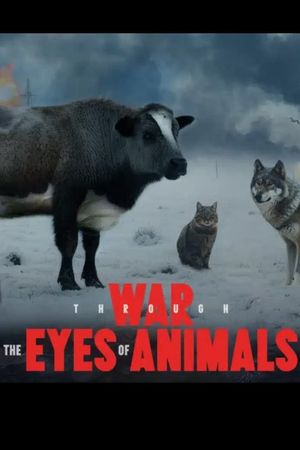 War Through the Eyes of Animals's poster