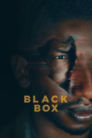 Black Box's poster