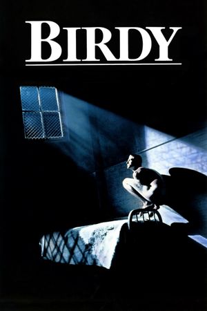 Birdy's poster