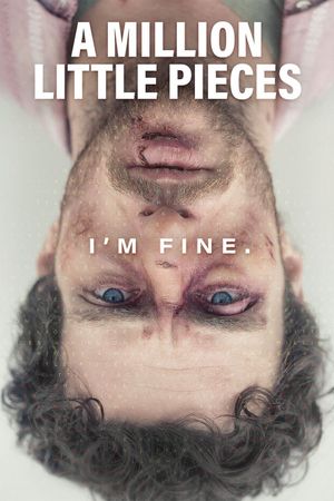A Million Little Pieces's poster