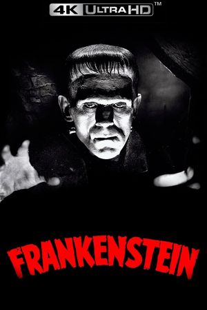 Frankenstein's poster