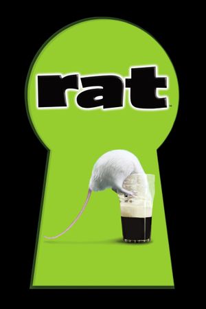 Rat's poster