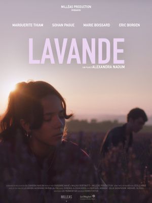 Lavande's poster