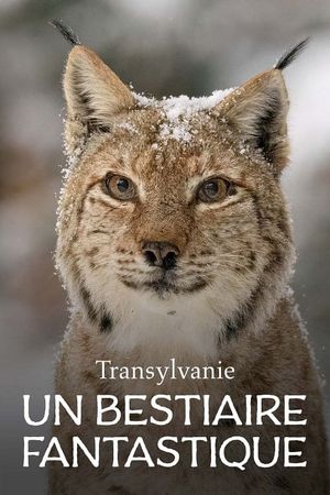 Transylvanie, un bestiaire fantastique's poster