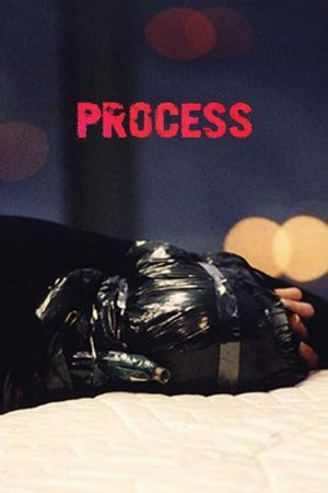 Process's poster