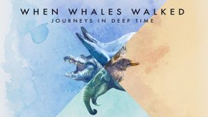 When Whales Walked: Journeys in Deep Time's poster