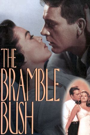 The Bramble Bush's poster