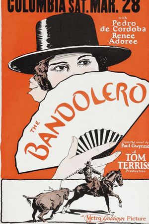 The Bandolero's poster