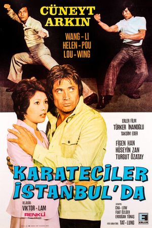Karateciler Istanbul'da's poster