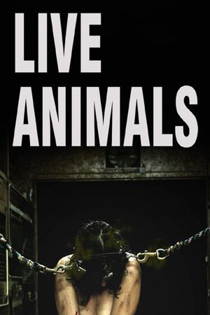 Live Animals's poster