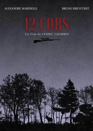 12 Horns's poster