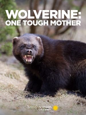 Wolverine: One Tough Mother's poster